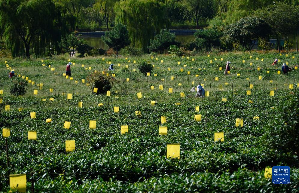 捕鱼世界游戏中心